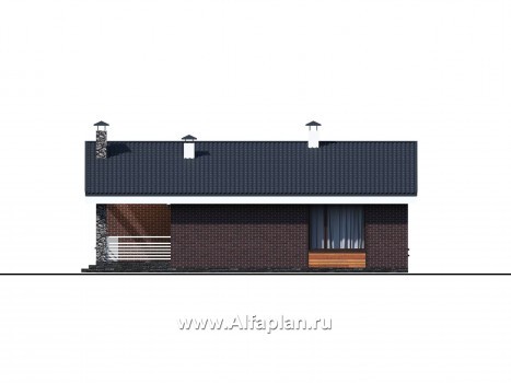 Проекты домов Альфаплан - «Веда» - проект одноэтажного дома с сауной - превью фасада №3