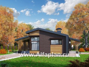 Проекты домов Альфаплан - «Омикрон» - современный каркасный дом для загородной жизни - превью основного изображения